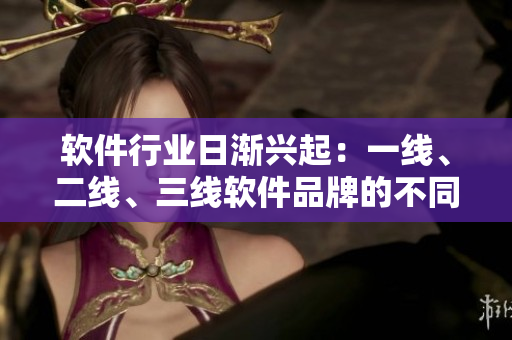 软件行业日渐兴起：一线、二线、三线软件品牌的不同之处