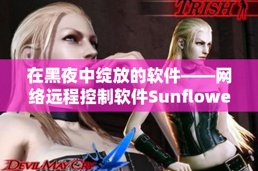 在黑夜中绽放的软件——网络远程控制软件Sunflower