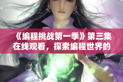 《编程挑战第一季》第三集在线观看，探索编程世界的奥秘