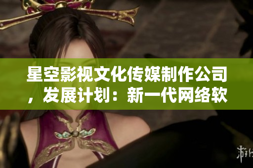 星空影视文化传媒制作公司，发展计划：新一代网络软件技术的应用与挖掘