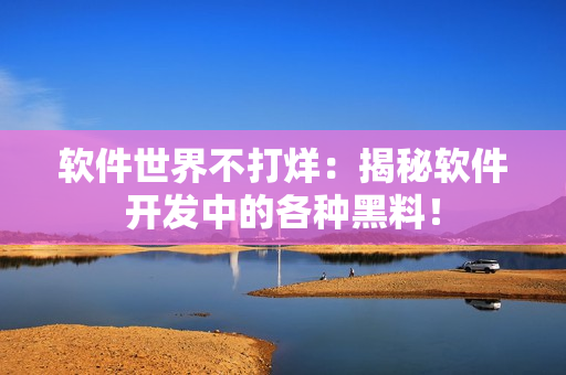 软件世界不打烊：揭秘软件开发中的各种黑料！