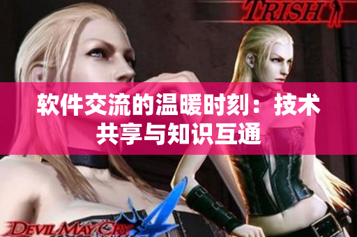 软件交流的温暖时刻：技术共享与知识互通