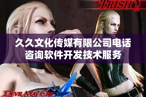 久久文化传媒有限公司电话咨询软件开发技术服务