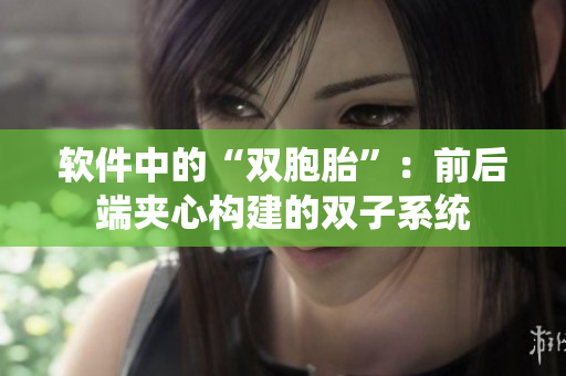 软件中的“双胞胎”：前后端夹心构建的双子系统