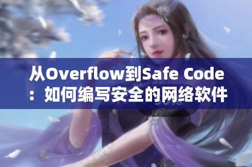 从Overflow到Safe Code：如何编写安全的网络软件 网络软件编辑
