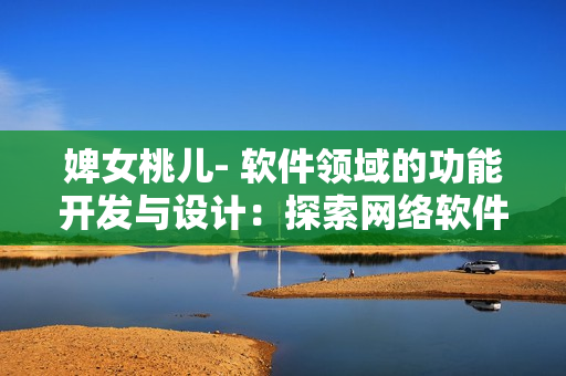 婢女桃儿- 软件领域的功能开发与设计：探索网络软件建设之道