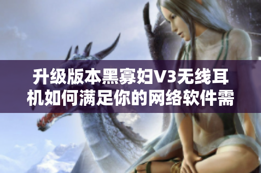 升级版本黑寡妇V3无线耳机如何满足你的网络软件需求？