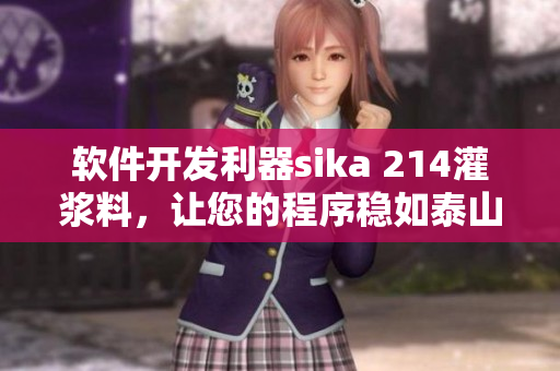 软件开发利器sika 214灌浆料，让您的程序稳如泰山
