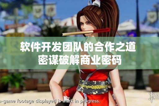 软件开发团队的合作之道 密谋破解商业密码