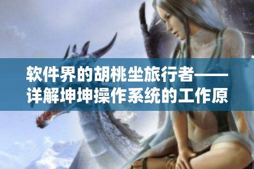 软件界的胡桃坐旅行者——详解坤坤操作系统的工作原理