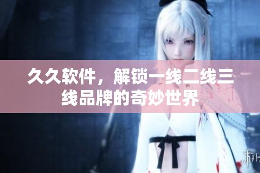 久久软件，解锁一线二线三线品牌的奇妙世界