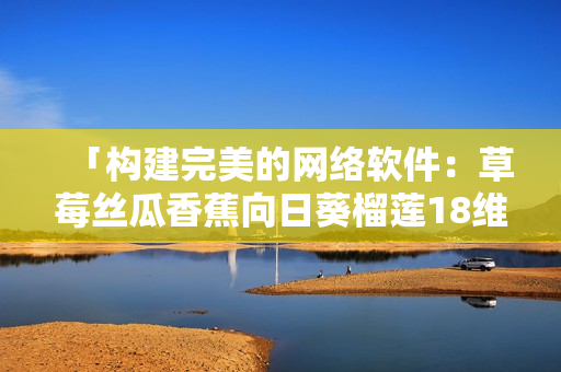 「构建完美的网络软件：草莓丝瓜香蕉向日葵榴莲18维度解析」