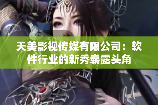天美影视传媒有限公司：软件行业的新秀崭露头角