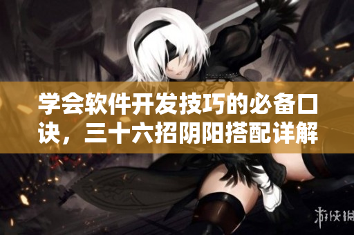 学会软件开发技巧的必备口诀，三十六招阴阳搭配详解视频教程