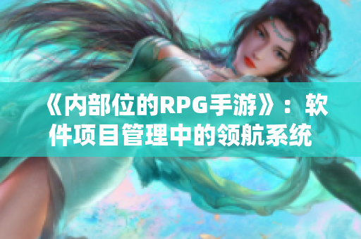 《内部位的RPG手游》：软件项目管理中的领航系统