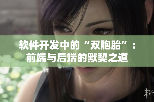 软件开发中的“双胞胎”：前端与后端的默契之道