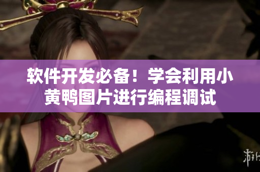 软件开发必备！学会利用小黄鸭图片进行编程调试