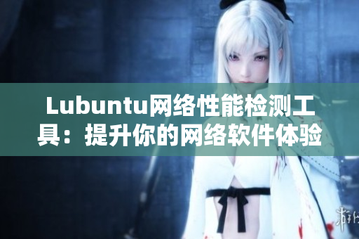 Lubuntu网络性能检测工具：提升你的网络软件体验！