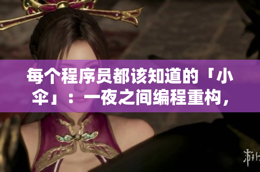 每个程序员都该知道的「小伞」：一夜之间编程重构，终开发出完美软件
