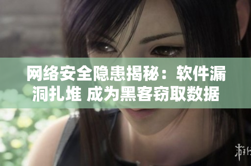 网络安全隐患揭秘：软件漏洞扎堆 成为黑客窃取数据的“利器”