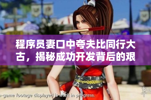 程序员妻口中夸夫比同行大古，揭秘成功开发背后的艰辛历程