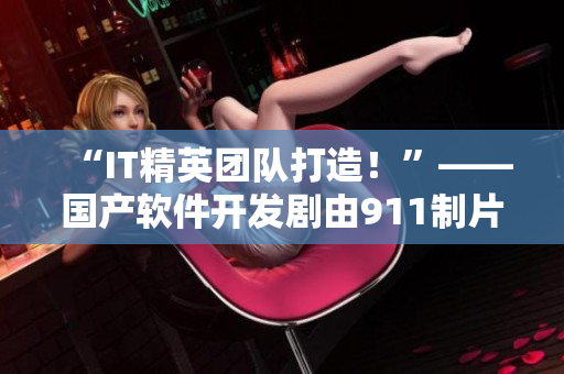 “IT精英团队打造！”——国产软件开发剧由911制片厂全方位呈现