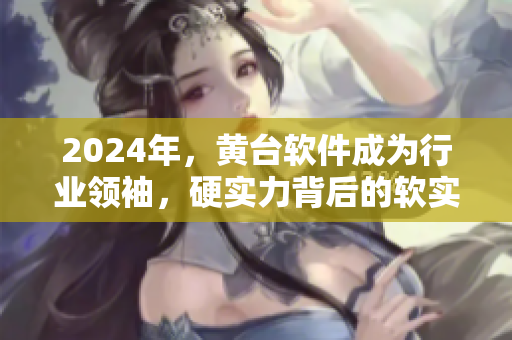 2024年，黄台软件成为行业领袖，硬实力背后的软实力之道