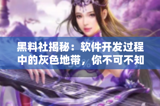 黑料社揭秘：软件开发过程中的灰色地带，你不可不知！