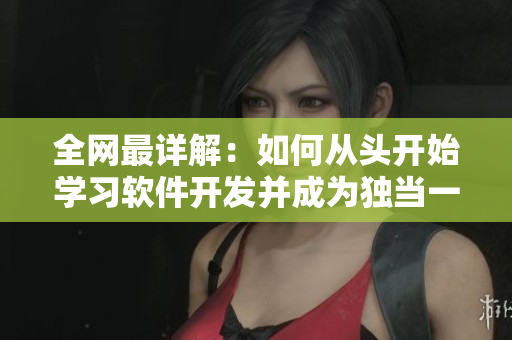 全网最详解：如何从头开始学习软件开发并成为独当一面的编程高手？