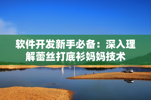 软件开发新手必备：深入理解蕾丝打底衫妈妈技术