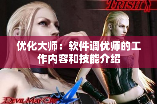 优化大师：软件调优师的工作内容和技能介绍