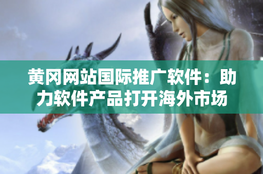黄冈网站国际推广软件：助力软件产品打开海外市场