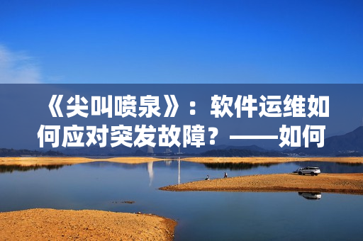 《尖叫喷泉》：软件运维如何应对突发故障？——如何制定应急预案