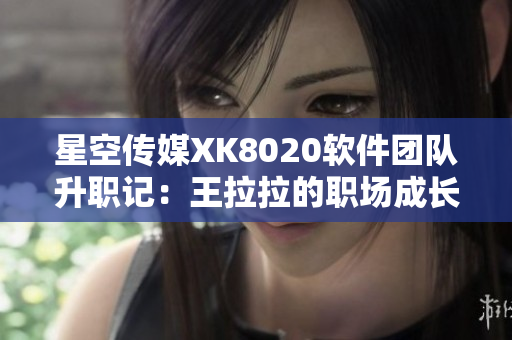 星空传媒XK8020软件团队升职记：王拉拉的职场成长启示 辰悦