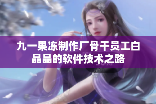 九一果冻制作厂骨干员工白晶晶的软件技术之路