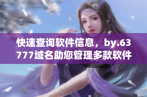 快速查询软件信息，by.63777域名助您管理多款软件