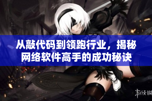 从敲代码到领跑行业，揭秘网络软件高手的成功秘诀