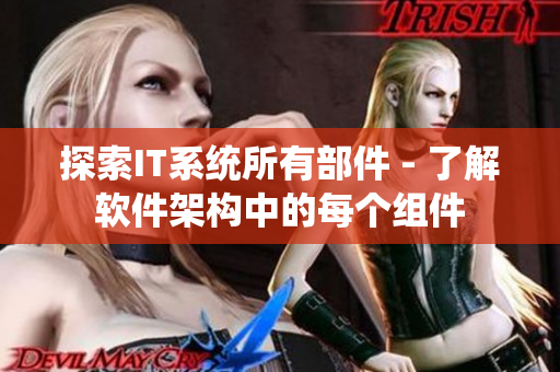 探索IT系统所有部件 - 了解软件架构中的每个组件