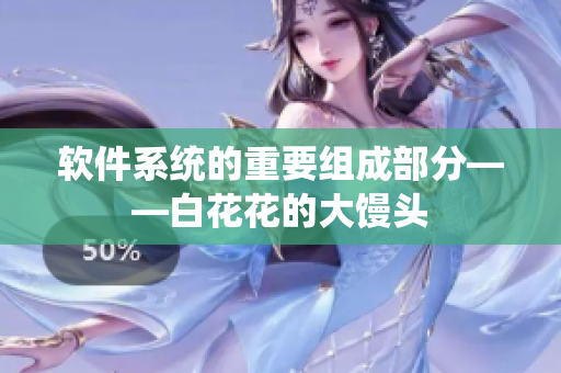软件系统的重要组成部分——白花花的大馒头