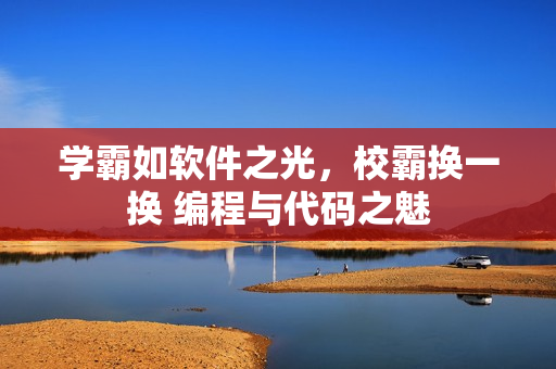 学霸如软件之光，校霸换一换 编程与代码之魅