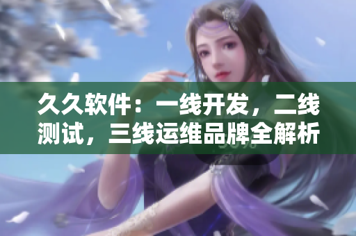 久久软件：一线开发，二线测试，三线运维品牌全解析