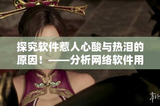 探究软件惹人心酸与热泪的原因！——分析网络软件用户体验的双重挑战