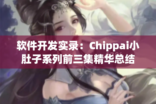软件开发实录：Chippai小肚子系列前三集精华总结
