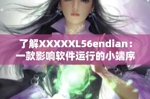 了解XXXXXL56endian：一款影响软件运行的小端序处理软件