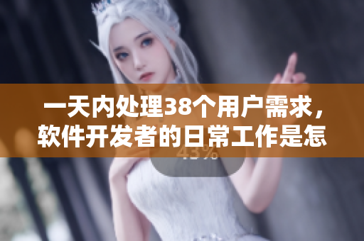 一天内处理38个用户需求，软件开发者的日常工作是怎么样的？
