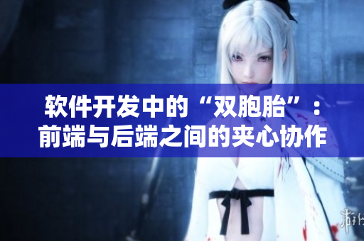 软件开发中的“双胞胎”：前端与后端之间的夹心协作