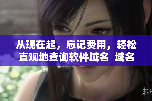 从现在起，忘记费用，轻松直观地查询软件域名  域名查询神器