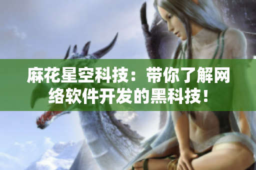 麻花星空科技：带你了解网络软件开发的黑科技！