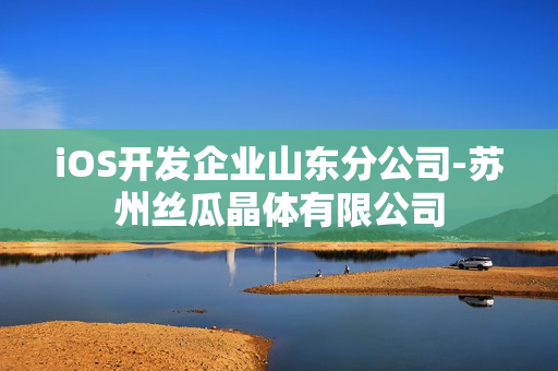 iOS开发企业山东分公司-苏州丝瓜晶体有限公司