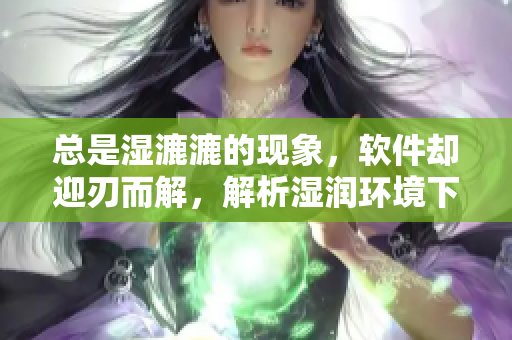 总是湿漉漉的现象，软件却迎刃而解，解析湿润环境下软件运行的问题
